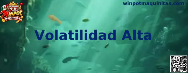 Guía informativa de Winpot Maquinitas sobre juegos de Volatilidad Alta