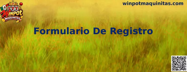 Referencia visual del Formulario De Registro de Winpot Maquinitas